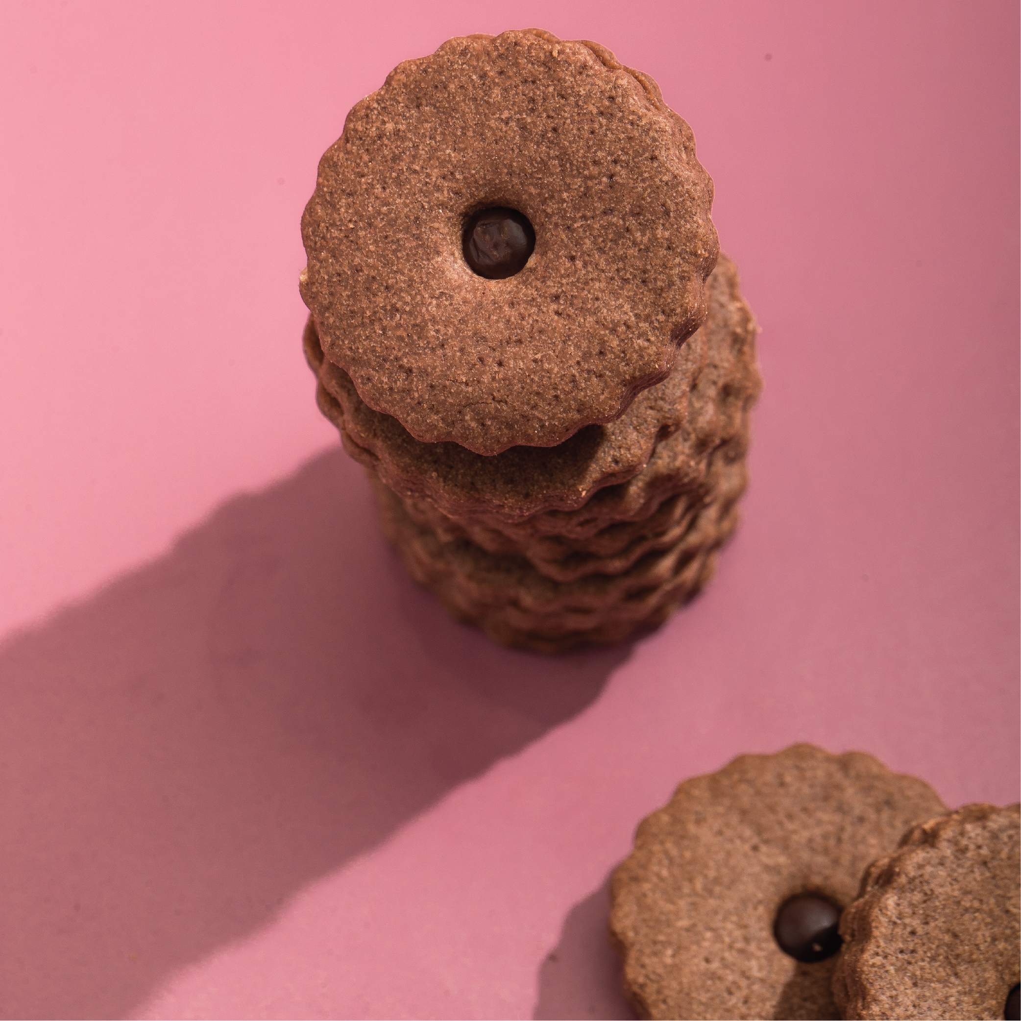 Chocolate Sable